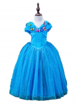 Blue Kids Elsa Fancy Dress