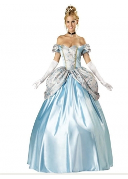 Elite Enchanting Princess Costume for Adult