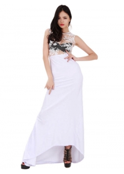 Sexy Transparent Lace Long Dress