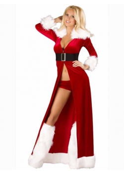 Sexy Women Christmas Costume