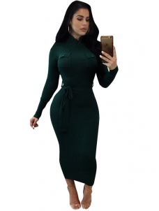 Euramerican Long Sleeves Green Polyester Mid Calf Dress