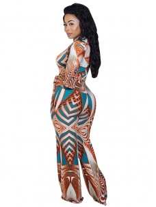 Orange V Neck Printed One-piece Jumpsuits 