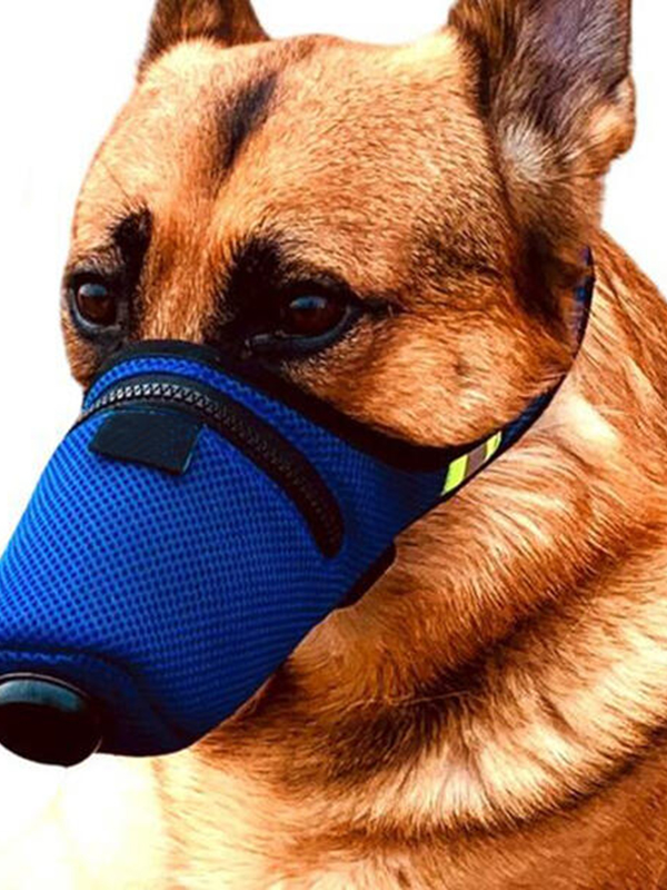 Dog Waterproof PM2.5 Double Filter Breathable Activated Carbon N95 Mask